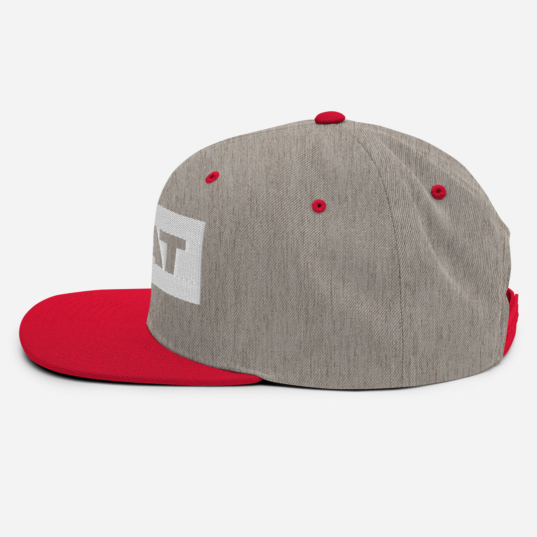 Frat Baseball Snapback Hat