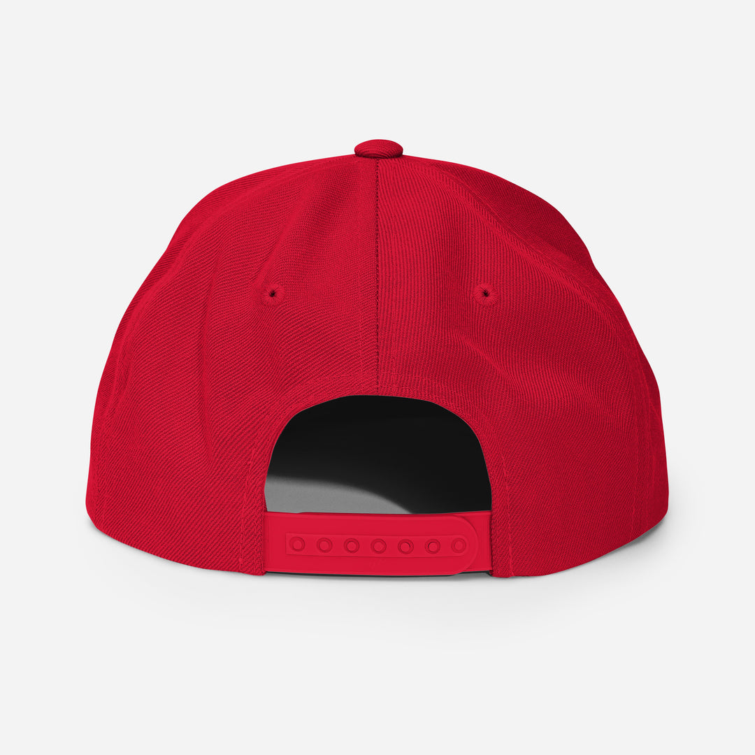 Frat Baseball Snapback Hat