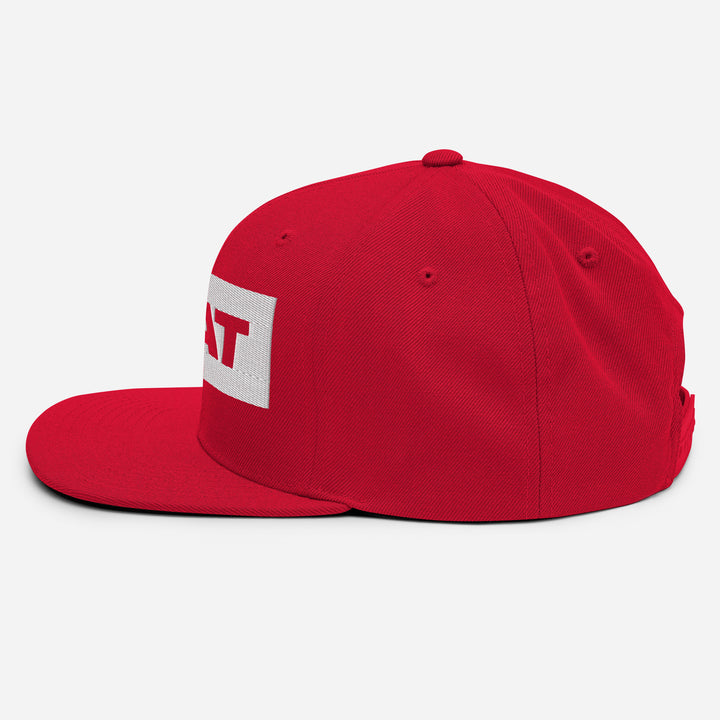 Frat Baseball Snapback Hat